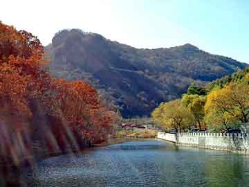 天天彩好彩天天免费，浮山seo快速排名软件